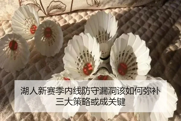 湖人新赛季内线防守漏洞该如何弥补 三大策略或成关键